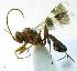  ( - IO02_G426)  @14 [ ] CreativeCommons - Attribution Non-Commercial Share-Alike (2013) Ika Osterblad University of Oulu