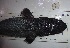  ( - EL1778)  @11 [ ] CreativeCommons - Attribution Non-Commercial Share-Alike (2019) Javier Rey Sanz University of Bologna