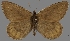  ( - CSG30422)  @11 [ ] CreativeCommons - Attribution Non-Commercial (2017) Crispin S Guppy Crispin S Guppy Collection