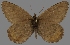  ( - CSG30423)  @11 [ ] CreativeCommons - Attribution Non-Commercial (2017) Crispin S Guppy Crispin S Guppy Collection