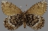  ( - CSG30424)  @13 [ ] CreativeCommons - Attribution Non-Commercial (2017) Crispin S Guppy Crispin S Guppy Collection