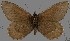  ( - CSG30428)  @11 [ ] CreativeCommons - Attribution Non-Commercial (2017) Crispin S Guppy Crispin S Guppy Collection