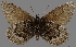  ( - CSG30428)  @11 [ ] CreativeCommons - Attribution Non-Commercial (2017) Crispin S Guppy Crispin S Guppy Collection
