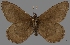  ( - CSG30429)  @11 [ ] CreativeCommons - Attribution Non-Commercial (2017) Crispin S Guppy Crispin S Guppy Collection
