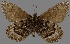  ( - CSG30429)  @11 [ ] CreativeCommons - Attribution Non-Commercial (2017) Crispin S Guppy Crispin S Guppy Collection