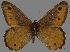  ( - CSG30462)  @11 [ ] CreativeCommons - Attribution Non-Commercial (2017) Crispin S Guppy Crispin S Guppy Collection