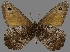  ( - CSG30462)  @11 [ ] CreativeCommons - Attribution Non-Commercial (2017) Crispin S Guppy Crispin S Guppy Collection