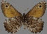  ( - CSG30464)  @13 [ ] CreativeCommons - Attribution Non-Commercial (2017) Crispin S Guppy Crispin S Guppy Collection