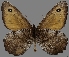  ( - CSG30465)  @14 [ ] CreativeCommons - Attribution Non-Commercial (2017) Crispin S Guppy Crispin S Guppy Collection