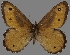  ( - CSG30467)  @14 [ ] CreativeCommons - Attribution Non-Commercial (2017) Crispin S Guppy Crispin S Guppy Collection