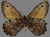  ( - CSG30467)  @14 [ ] CreativeCommons - Attribution Non-Commercial (2017) Crispin S Guppy Crispin S Guppy Collection