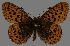  ( - CSG31499)  @13 [ ] CreativeCommons - Attribution Non-Commercial (2018) Crispin S Guppy Crispin S Guppy Collection