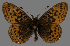  ( - CSG31501)  @13 [ ] CreativeCommons - Attribution Non-Commercial (2018) Crispin S Guppy Crispin S Guppy Collection
