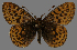  ( - CSG31502)  @13 [ ] CreativeCommons - Attribution Non-Commercial (2018) Crispin S Guppy Crispin S Guppy Collection