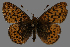  ( - CSG31503)  @13 [ ] CreativeCommons - Attribution Non-Commercial (2018) Crispin S Guppy Crispin S Guppy Collection