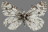  ( - CSG31615)  @11 [ ] CreativeCommons - Attribution Non-Commercial (2018) Crispin S Guppy Crispin S Guppy Collection