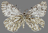  ( - CSG31615)  @11 [ ] CreativeCommons - Attribution Non-Commercial (2018) Crispin S Guppy Crispin S Guppy Collection