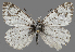  ( - CSG31616)  @11 [ ] CreativeCommons - Attribution Non-Commercial (2018) Crispin S Guppy Crispin S Guppy Collection