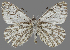  ( - CSG31616)  @11 [ ] CreativeCommons - Attribution Non-Commercial (2018) Crispin S Guppy Crispin S Guppy Collection
