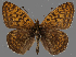  ( - CSG31716)  @15 [ ] CreativeCommons - Attribution Non-Commercial (2018) Crispin S Guppy Crispin S Guppy Collection