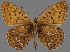  ( - CSG31716)  @14 [ ] CreativeCommons - Attribution Non-Commercial (2018) Crispin S Guppy Crispin S Guppy Collection
