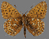  ( - CSG31717)  @14 [ ] CreativeCommons - Attribution Non-Commercial (2018) Crispin S Guppy Crispin S Guppy Collection