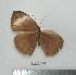  ( - BC-GVW0020)  @13 [ ] Unspecified (default): All Rights Reserved  Unspecified Unspecified