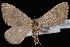  ( - CNCLEP00034118)  @13 [ ] CreativeCommons - Attribution Non-Commercial Share-Alike (2010) Unspecified University of British Columbia