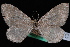  ( - CNCLEP00034122)  @13 [ ] CreativeCommons - Attribution Non-Commercial Share-Alike (2010) Unspecified University of British Columbia