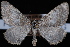  ( - CNCLEP00034127)  @13 [ ] CreativeCommons - Attribution Non-Commercial Share-Alike (2010) Unspecified University of British Columbia