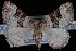 ( - CNCLEP00034145)  @14 [ ] CreativeCommons - Attribution Non-Commercial Share-Alike (2010) Unspecified University of British Columbia