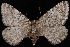  ( - CNCLEP00034052)  @13 [ ] CreativeCommons - Attribution Non-Commercial Share-Alike (2010) Unspecified University of British Columbia