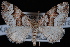  ( - CNCLEP00034147)  @13 [ ] CreativeCommons - Attribution Non-Commercial Share-Alike (2010) Unspecified University of British Columbia