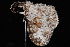  ( - CNCLEP00034059)  @13 [ ] CreativeCommons - Attribution Non-Commercial Share-Alike (2010) Unspecified University of British Columbia