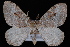  ( - CNCLEP00034156)  @14 [ ] CreativeCommons - Attribution Non-Commercial Share-Alike (2010) Unspecified University of British Columbia