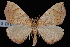  ( - CNCLEP00034162)  @15 [ ] CreativeCommons - Attribution Non-Commercial Share-Alike (2010) Unspecified University of British Columbia