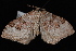  ( - CNCLEP00034070)  @13 [ ] CreativeCommons - Attribution Non-Commercial Share-Alike (2010) Unspecified University of British Columbia
