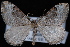  ( - CNCLEP00034071)  @13 [ ] CreativeCommons - Attribution Non-Commercial Share-Alike (2010) Unspecified University of British Columbia