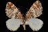  ( - CNCLEP00034077)  @13 [ ] CreativeCommons - Attribution Non-Commercial Share-Alike (2010) Unspecified University of British Columbia