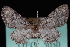  ( - CNCLEP00034087)  @13 [ ] CreativeCommons - Attribution Non-Commercial Share-Alike (2010) Unspecified University of British Columbia