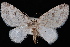  ( - CNCLEP00035466)  @13 [ ] CreativeCommons - Attribution Non-Commercial Share-Alike (2010) Unspecified University of British Columbia