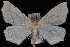  ( - JECW-07-0100)  @13 [ ] CreativeCommons - Attribution (2010) Unspecified University of British Columbia
