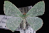  ( - JECW-07-0120)  @14 [ ] CreativeCommons - Attribution (2010) Unspecified University of British Columbia