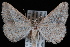  ( - JECW-07-0028)  @13 [ ] CreativeCommons - Attribution (2010) Unspecified University of British Columbia