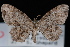  ( - JECW-07-0221)  @13 [ ] CreativeCommons - Attribution (2010) Unspecified University of British Columbia