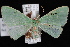  ( - JECW-07-0184)  @13 [ ] CreativeCommons - Attribution (2010) Unspecified University of British Columbia