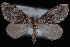  ( - PFC-2007-0314)  @14 [ ] CreativeCommons - Attribution (2010) Unspecified University of British Columbia