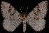  ( - PFC-2007-0322)  @14 [ ] CreativeCommons - Attribution (2010) Unspecified University of British Columbia