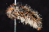  ( - PFC-2007-0382)  @12 [ ] CreativeCommons - Attribution (2010) Unspecified University of British Columbia