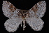  ( - PFC-2007-0287)  @13 [ ] CreativeCommons - Attribution (2010) Unspecified University of British Columbia